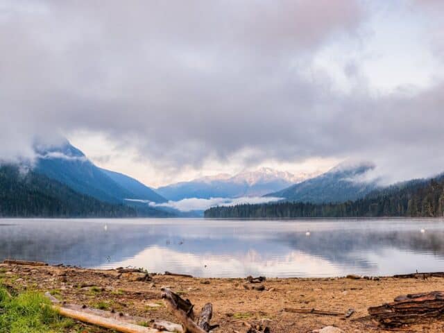 Video Thumbnail: Birkenhead Lake | Cinematic 4K UltraHD