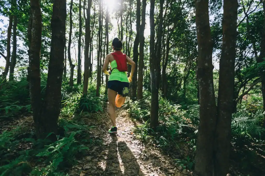 Woman running away from camera through sunshine lit forest trails