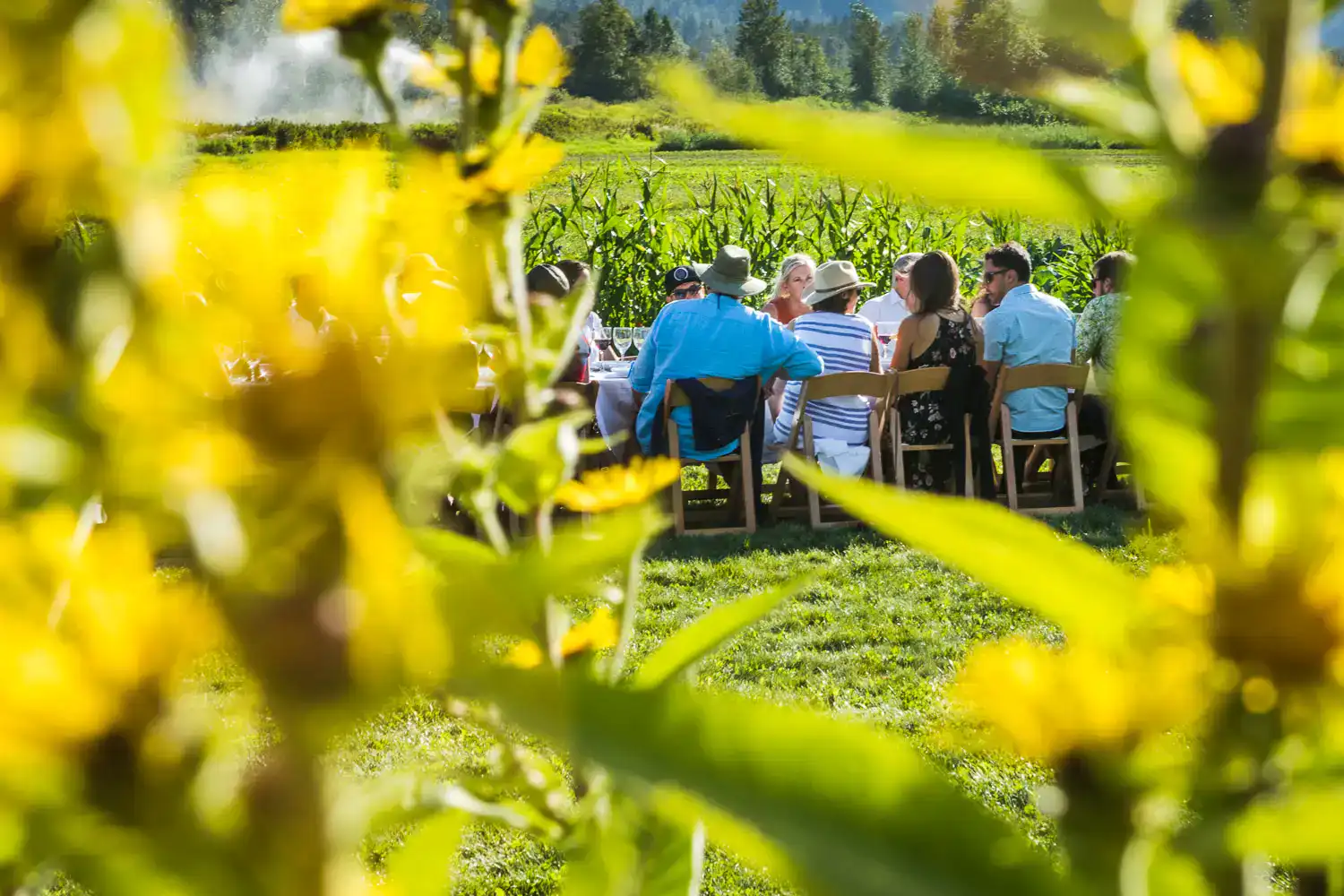 People Sitting at a Dinner table in a field with flowers up close at Araxi Long Table Dinner Series at North Arm Farm in Pemberton