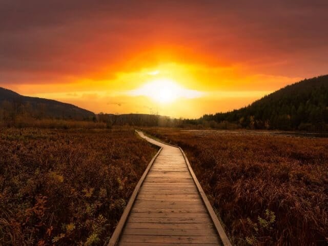 Wooden walking path on One Mile Lake with flowers. Picture taken in Pemberton, British Columbia, Canada. Dramatic Sunrise Sky