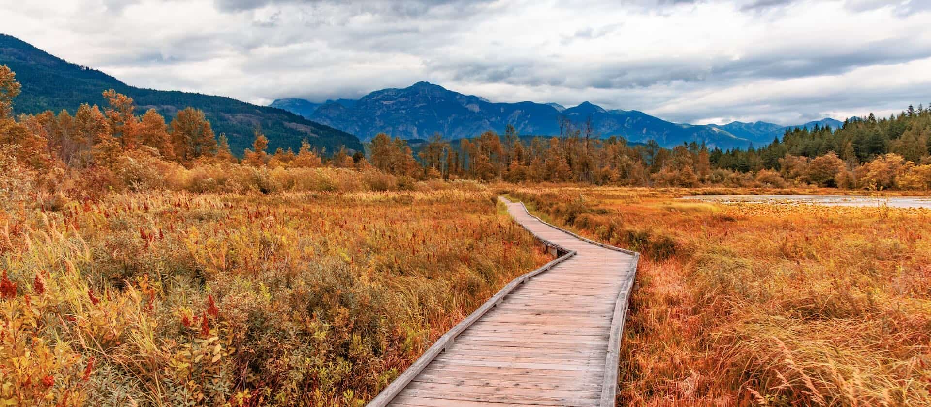 Path in Canadian Nature. Fall Colors. Pemberton, BC, Canada.